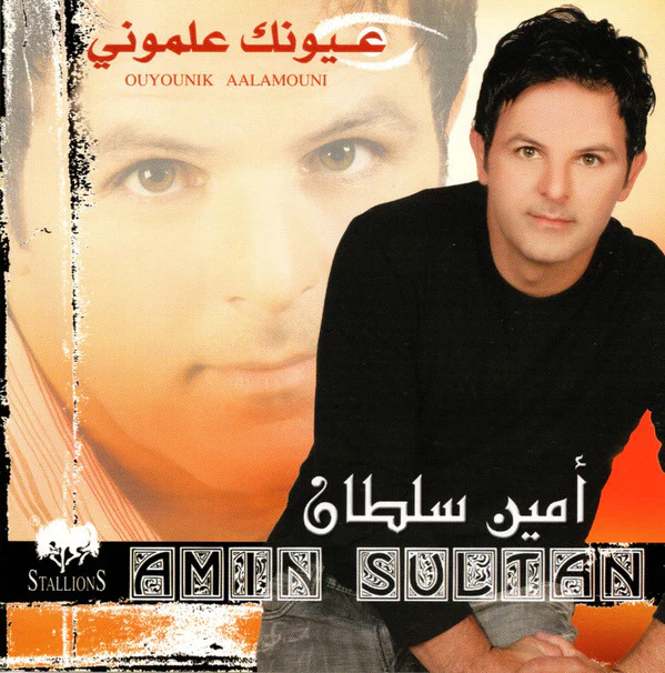 أمين سلطان = Amin Sultan* - عيونك علموني = Ouyounik Aalamouni (CD, Album)