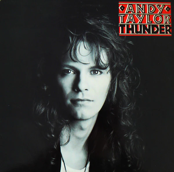 Andy Taylor - Thunder (LP, Album)