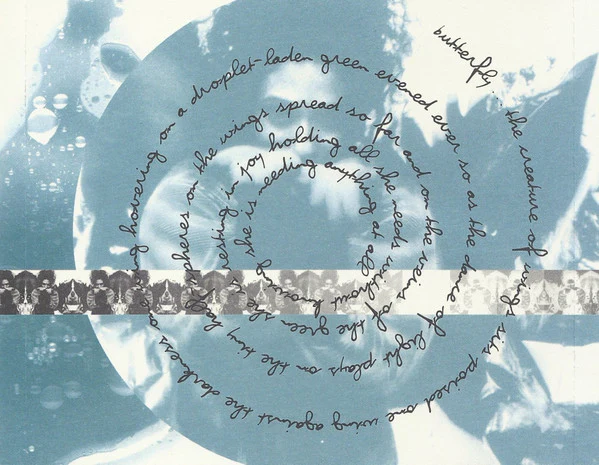 Badi Assad - Chameleon (CD, Album) - Image 4