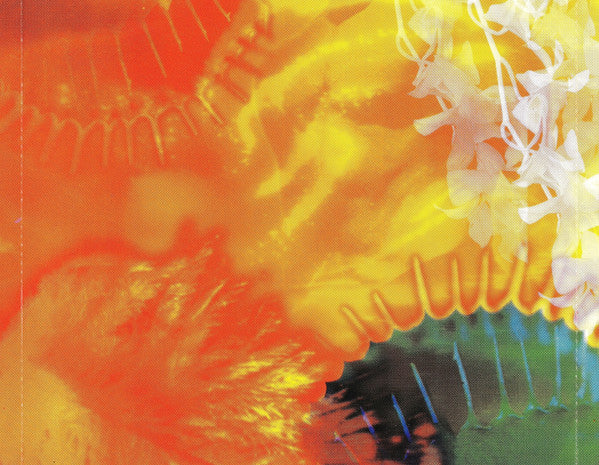 Bellini - Samba De Janeiro (CD, Album) - Image 3