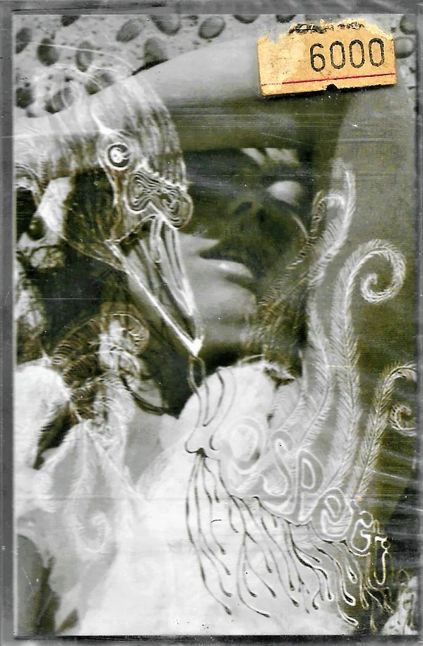 Björk - Vespertine (Cass, Album)