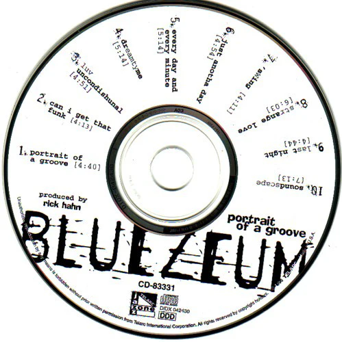 Bluezeum - Portrait Of A Groove (CD, Album) - Image 3