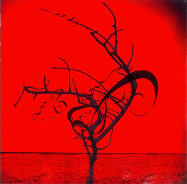 Corvus Corax - Cantus Buranus (CD, Album) - Image 5
