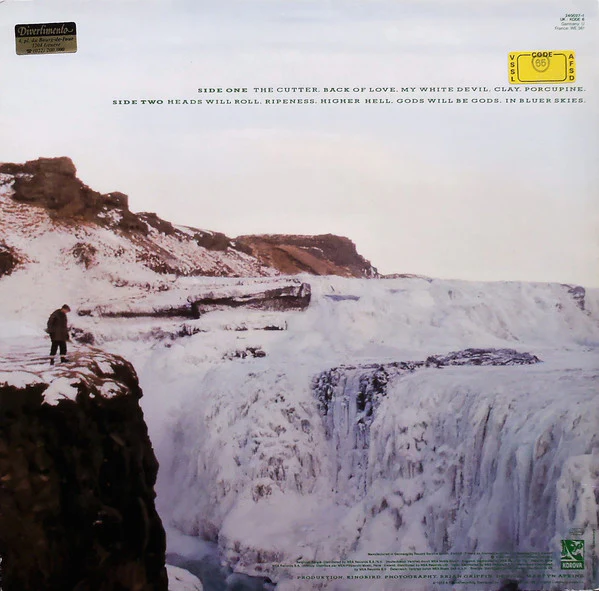 Echo & The Bunnymen - Porcupine (LP, Album) - Image 2