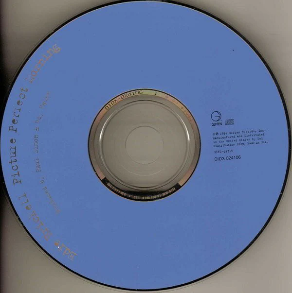 Edie Brickell - Picture Perfect Morning (CD, Album) - Image 3