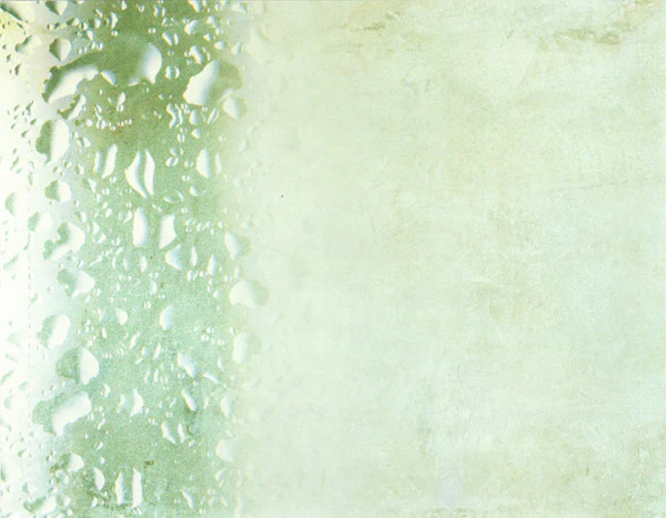 Enya - A Day Without Rain (CD, Album) - Image 5
