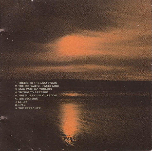 Ian Simmonds - Last States Of Nature (CD, Album) - Image 4