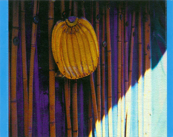Kirsty MacColl - Tropical Brainstorm (CD, Album, Enh) - Image 5