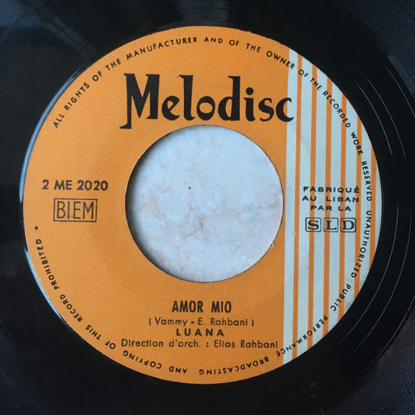 Luana - Ritornerai / Amor Mio (7") - Image 2