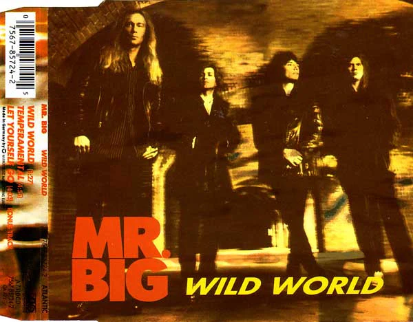 Mr. Big - Wild World (CD, Maxi) - Image 4