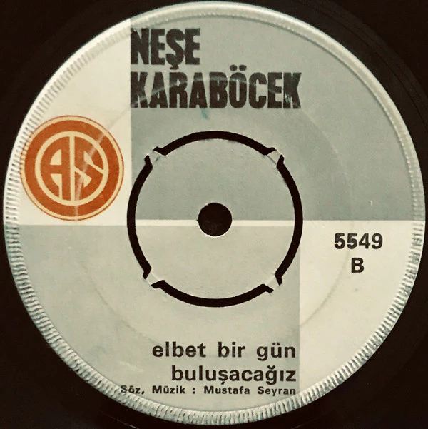 Neşe Karaböcek - Pişman Olur Da Bir Gün / Elbet Bir Gün Buluşacağız (7", Single) - Image 3