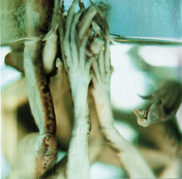 Pain - Rebirth (CD, Album, Enh, RP) - Image 5