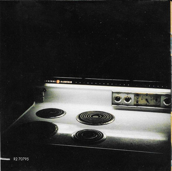 Peter Holsapple And Chris Stamey - Mavericks (CD, Album) - Image 4