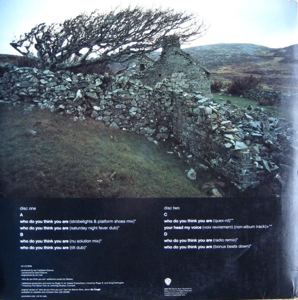 Saint Etienne - Who Do You Think You Are (2x12", Ltd, Promo) - Image 2