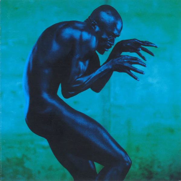 Seal - Human Being (CD, Album)
