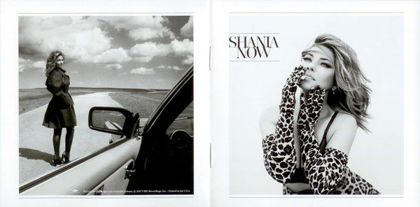 Shania Twain - Now (CD, Album) - Image 3