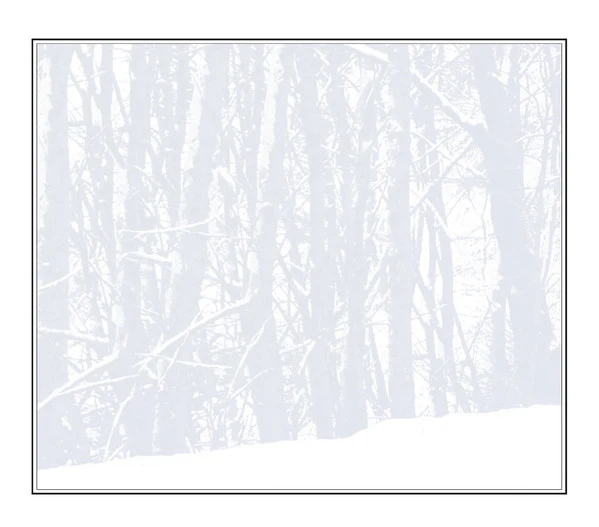 Sting - If On A Winter's Night... (CD, Album, Gat) - Image 4