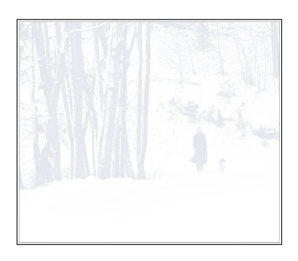 Sting - If On A Winter's Night... (CD, Album, Gat) - Image 5