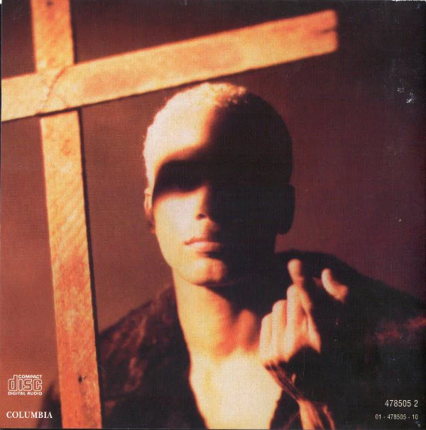 Terence Trent D'Arby - Terence Trent D'Arby's Vibrator* (CD, Album) - Image 5