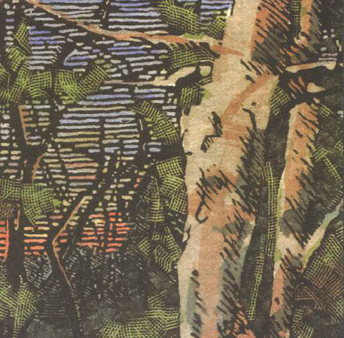 The Anomoanon - Asleep Many Years In The Wood (CD)