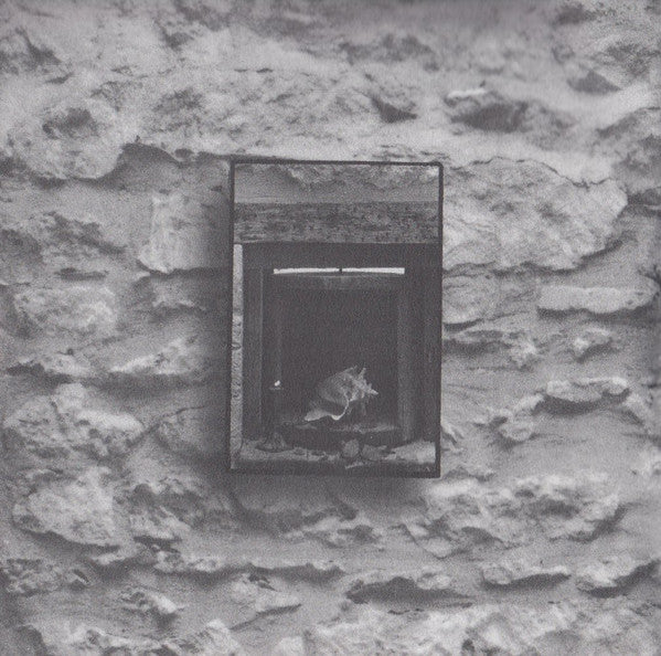 Tish Hinojosa - Dreaming From The Labyrinth / Soñar Del Laberinto (CD, Album) - Image 5
