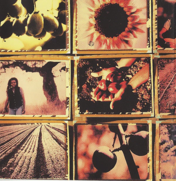Tracy Chapman - New Beginning (CD, Album) - Image 5