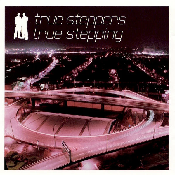 True Steppers - True Stepping (CD, Album)
