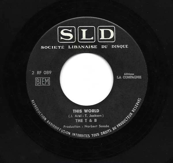 Tuesday Jackson Nicole Croisille* / The T And B* - I'll Never Leave You / This World (7", Single) - Image 2