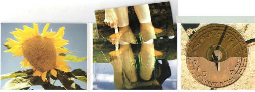 Victoria Williams - Musings Of A Creek Dipper (CD, Album) - Image 2